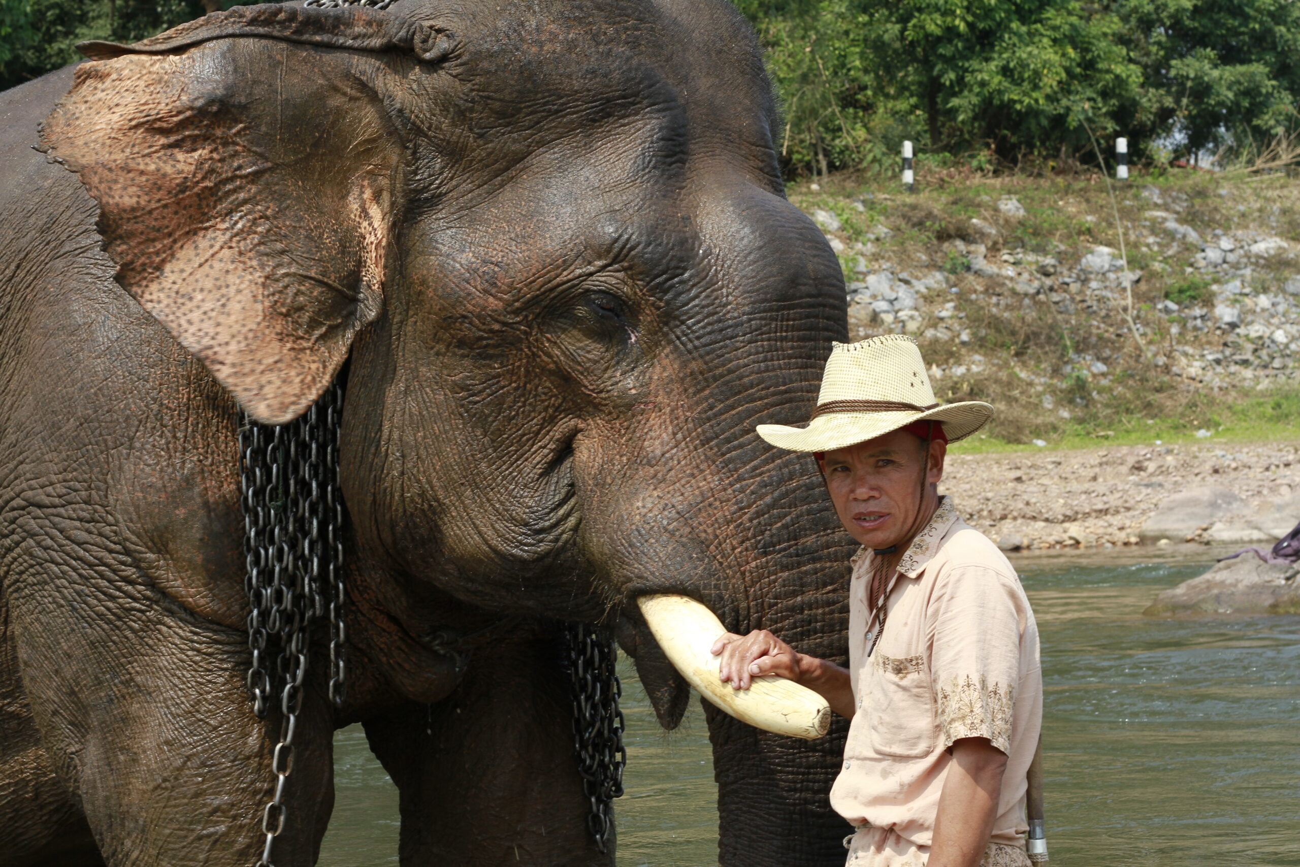 rent house luang prabang