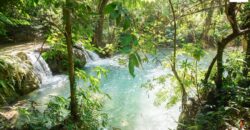 Beautiful Land for sale next to Kuang Si waterfall
