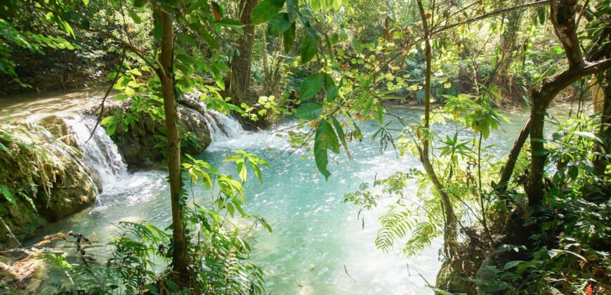 Beautiful Land for sale next to Kuang Si waterfall