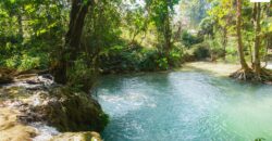 Beautiful Land for sale next to Kuang Si waterfall