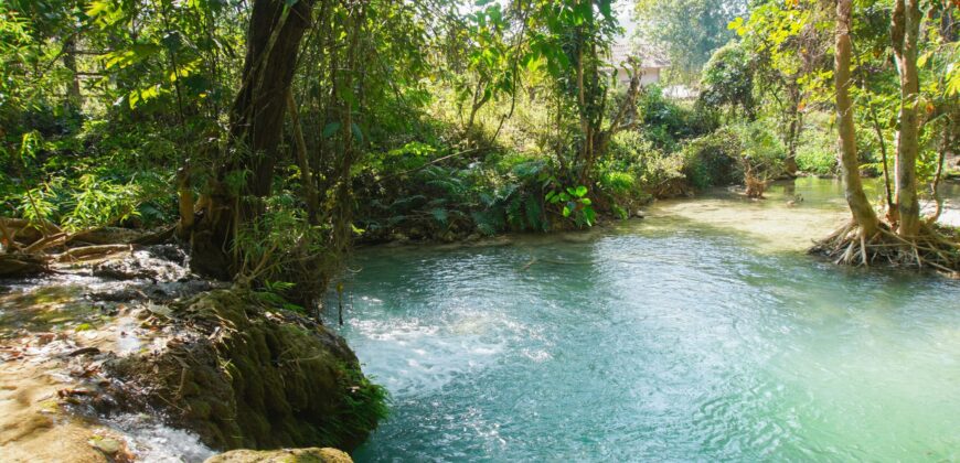 Beautiful Land for sale next to Kuang Si waterfall