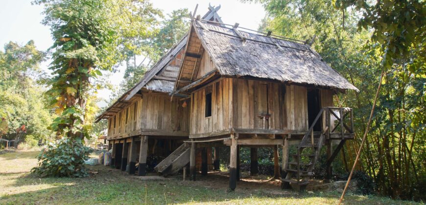Beautiful Land for sale next to Kuang Si waterfall