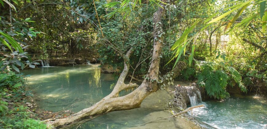 Beautiful Land for sale next to Kuang Si waterfall