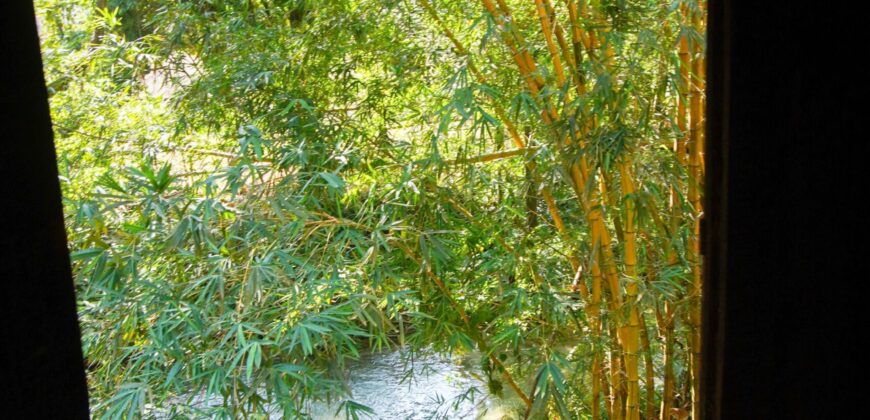 Beautiful Land for sale next to Kuang Si waterfall