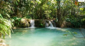 Beautiful Land for sale next to Kuang Si waterfall