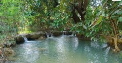 Beautiful Land for sale next to Kuang Si waterfall