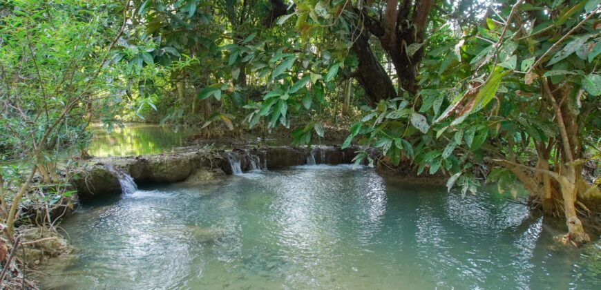 Beautiful Land for sale next to Kuang Si waterfall