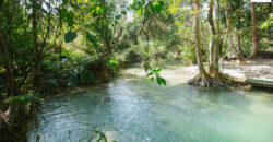 Beautiful Land for sale next to Kuang Si waterfall
