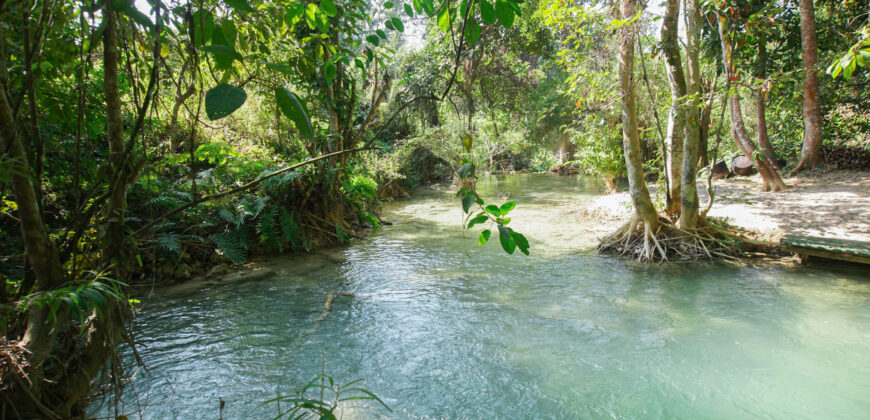 Beautiful Land for sale next to Kuang Si waterfall