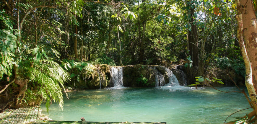 Beautiful Land for sale next to Kuang Si waterfall
